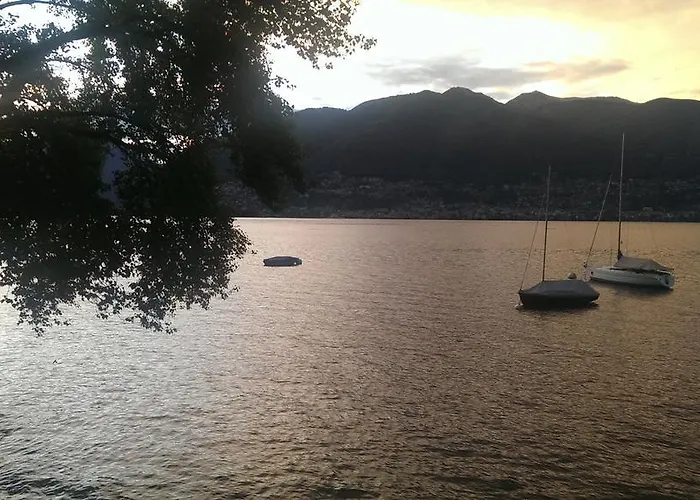 Corte Delle Camelie *